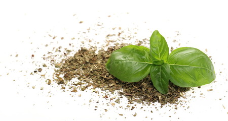 Dry chopped basil and fresh basil green leaves isolated on white  