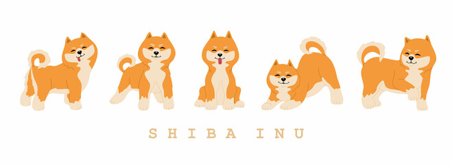 Set of cute shiba inu dogs. Funny japanese smiling animals. Hand drawn colored vector illustration isolated on white background. Modern trendy flat cartoon style.