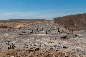 Burning deforestation of the Brazilian Caatinga biome in Boa Ventura, Paraiba, Brazil on November...