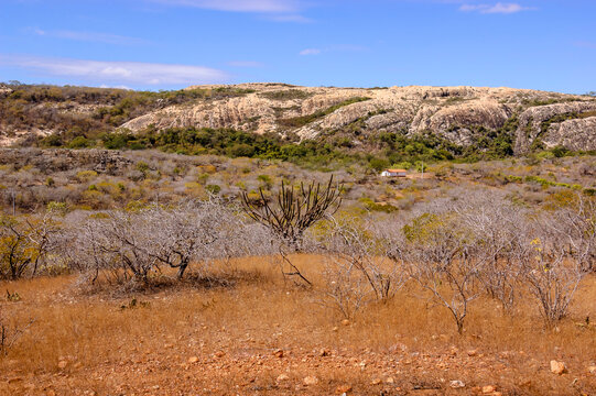 Brazilian biome caatinga em Pedra Lavrada, Paraiba, Brazil on May 28, 2008.