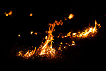 big fire in the forest at night