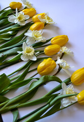 Obraz premium bouquet of tulips