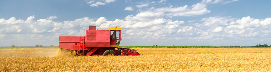 Harvester combine harvesting wheat during harvest on a sunny summer day 