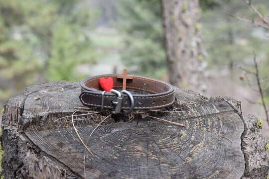 Pet Loss Concept Of Dog's Leather Collar, Red Heart And Cross On Log. 