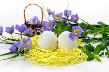 Easter eggs in the nest and spring flowers on a white background.Happy easter concept.