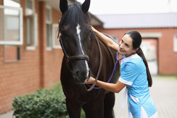 Veterinarian doctor listens with stethoscope to horse on farm