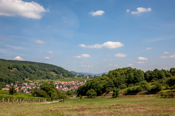 Fototapeta na wymiar Blick auf Klingenmünster, Südpfalz
