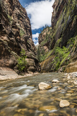 The Narrows in Zion National Park