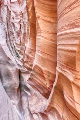 Foto op Canvas Zebra Canyon in Utah in the USA © Fyle