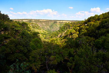 Fototapeta na wymiar valle entre montañas de una selva baja caducifolia con árboles verdes en primer plano con un cielo azul en Monte Escobedo, Zacatecas