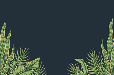 Tropical summer exotic leaves and plants for text design