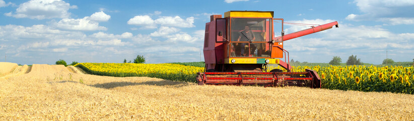 Combine harvester harvesting wheat on a sunny summer day.