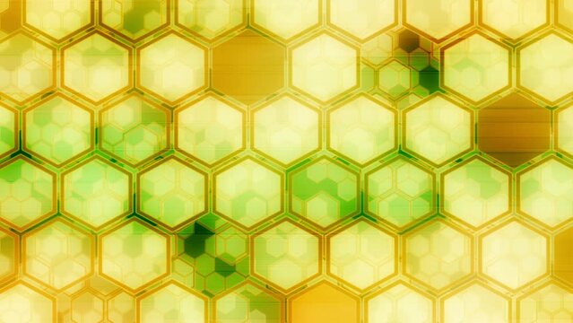 Honey and green geometric looping animated background