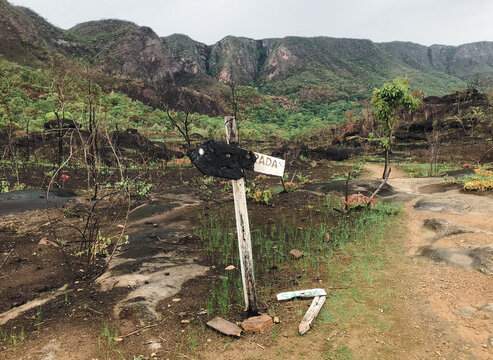 Chapada is burning