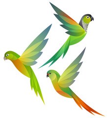 Stylized Birds - Parakeets in flight