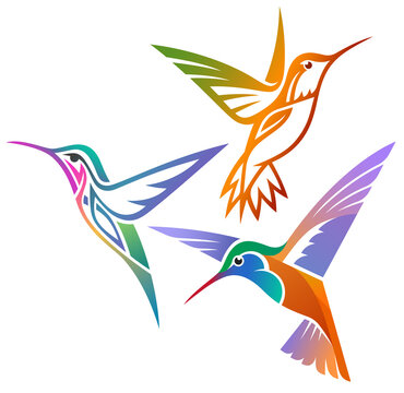 Stylized Birds - Hummingbirds in flight