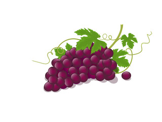 Bunch of red grapes isometric vector illustration I'm in style on white