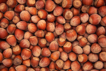 Wallpaper covered with hazelnuts shot in close-up
