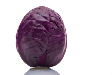 Red cabbage on a white isolated background