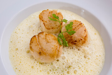 フランス料理のホタテ