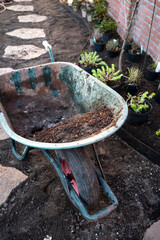 Garden reconstruction works in progress, new plants ready for planting in spring