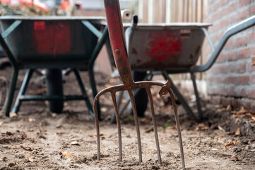 Garden or backyard renovation by professionals in spring, garden works