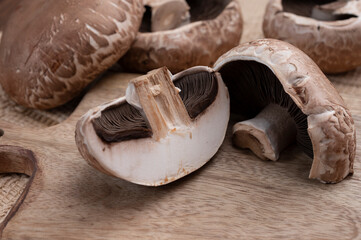 Tasty vegetarian food, large brown champignons Agaricus bisporus portobello mushrooms