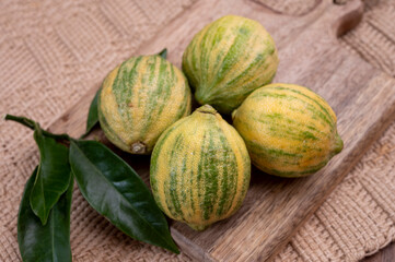 California citrus fruits, colorful yellow-green Pink Tiger lemons