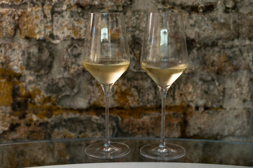 Tasting of brut champagne sparkling wine produced by traditional method in underground caves
