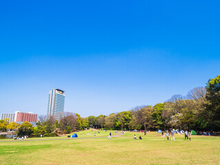 春の公園広場　多摩ニュータウン