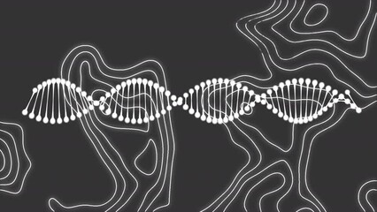 Animation of dna strand spinning and white lines on grey background - Powered by Adobe