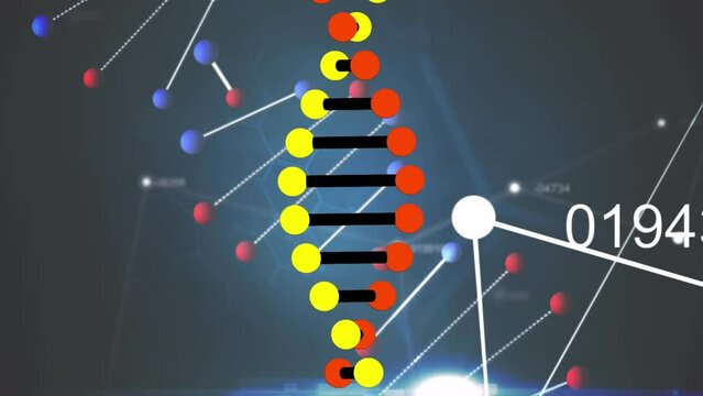 Animation of dna strands spinning and data processing