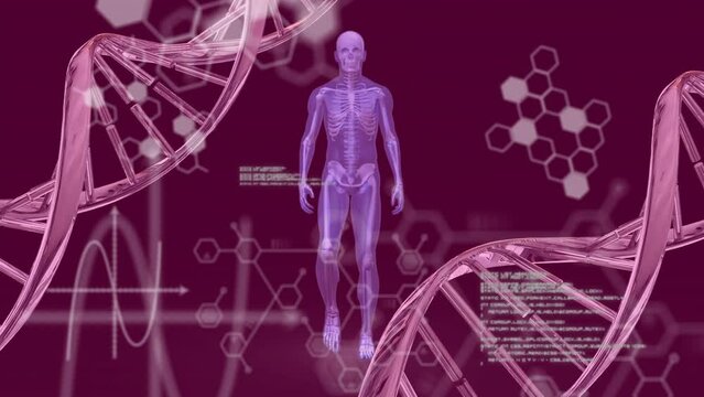 Animation of chemical formulas and data processing over dna chain and moving human body