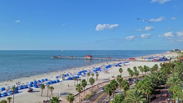 The pier of Clearwater Beach in Florida | A crowded Florida beach with people sunbathing and enjoying beach activities and seagulls flying | Also visible the palm trees and clouds in the horizon