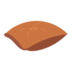 Isolated brown pillow with no feathers Vector