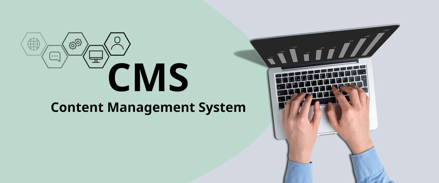 Acronym CMS or Content Management System. The person works at the laptop.
