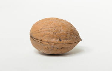 Walnuts are rounded, single-seeded stone fruits of the walnut tree.