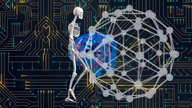 Animation of digital skeleton model and globe of connection over computer circuit board
