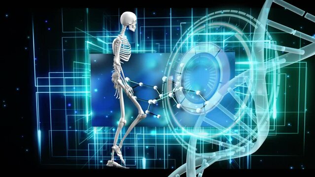 Animation of digital skeleton model over dna strand and scope scanning on black background