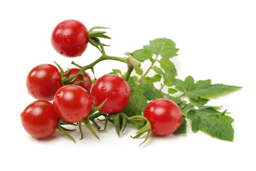 cherry tomatoes on white background 