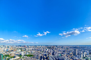 Obraz na płótnie Canvas 東京風景　渋谷から望む