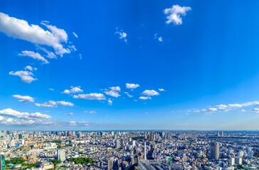 Obraz na płótnie Canvas 東京風景　渋谷から望む