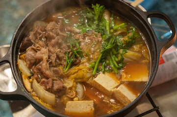 stew with vegetables