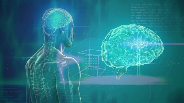 Animation of brain and human body model rotating over green background