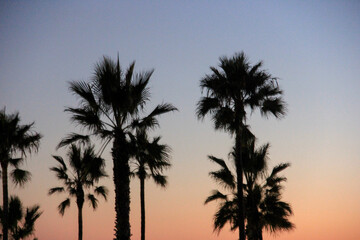 Fototapeta na wymiar SoCal Sunsets