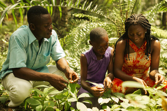 Modern African conservationist teaching people about nature outdoors