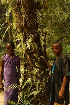 Two young african environmentalists holding a tree