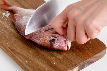 鯛を調理する手元　sea ​​bream - obrazy, fototapety, plakaty