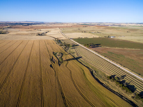aerial view of farmland