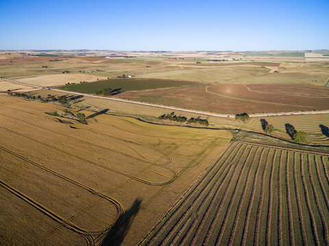 aerial view of farmland